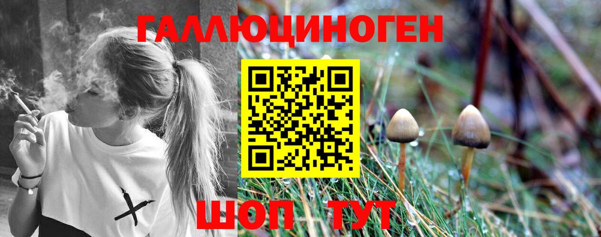 где найти   Галлюциногенные грибы Magic Shrooms  Вход с VPN  Белгород  Галлюциногенные грибы Magic Shrooms 