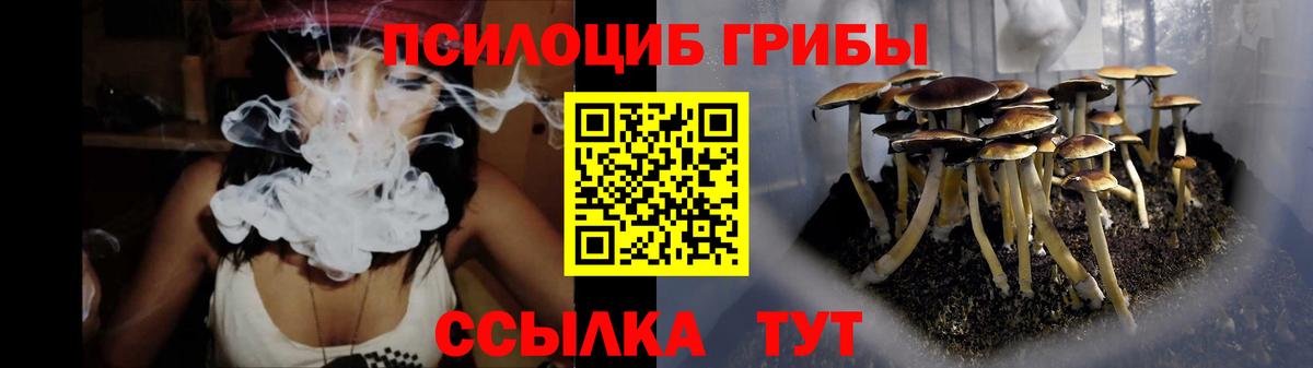 Галлюциногенные грибы мицелий Белгород